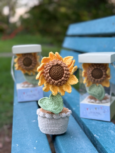 Sunflower in Pot (Large)